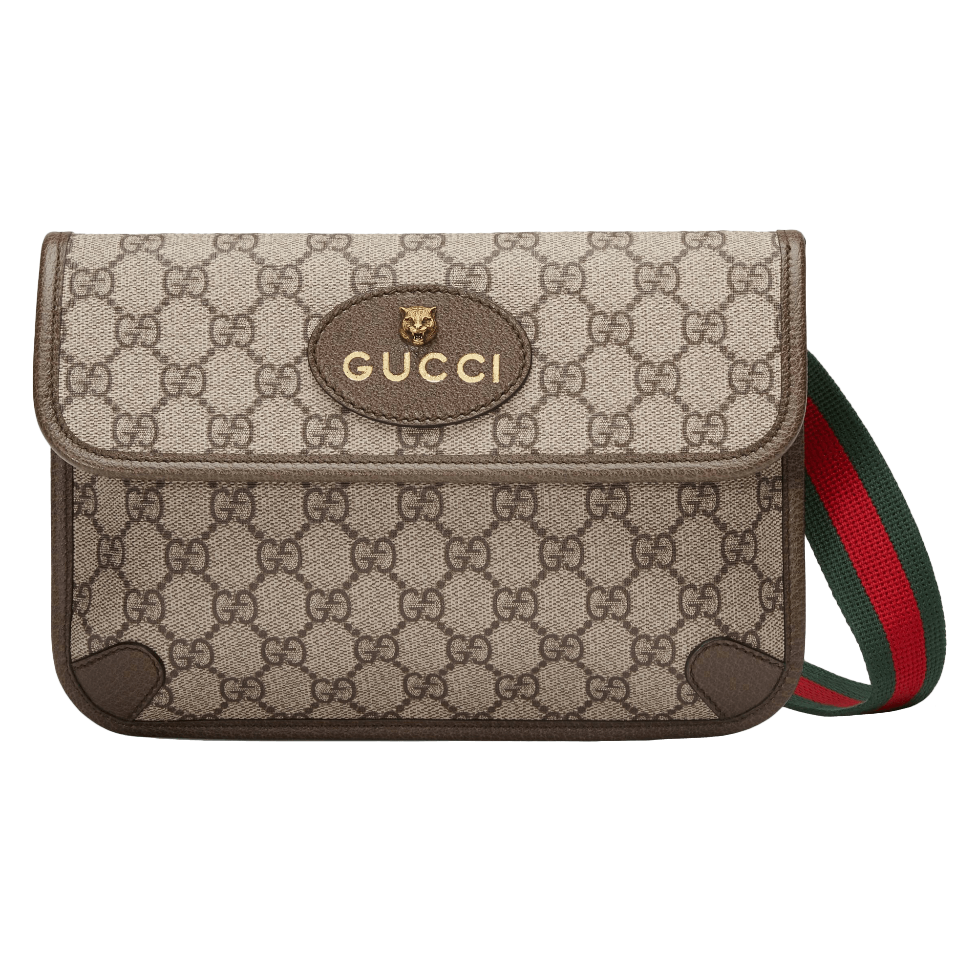 oval gucci bag