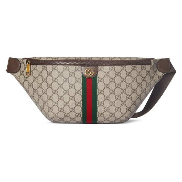 Gucci Ophidia Large Belt Bag