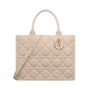 Dior Medium Book Tote