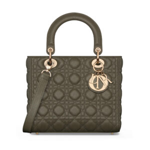 Dior Medium Lady Dior Bag