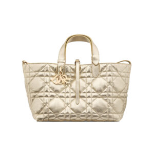 Dior Medium Dior Toujours Bag