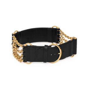 Chloé The Chloé Camera Chain Belt